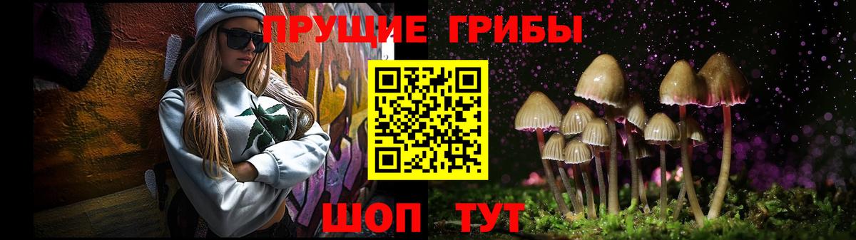 Псилоцибиновые грибы MAGIC MUSHROOMS  Псилоцибиновые грибы Magic Shrooms  Калининград  Вход с VPN 